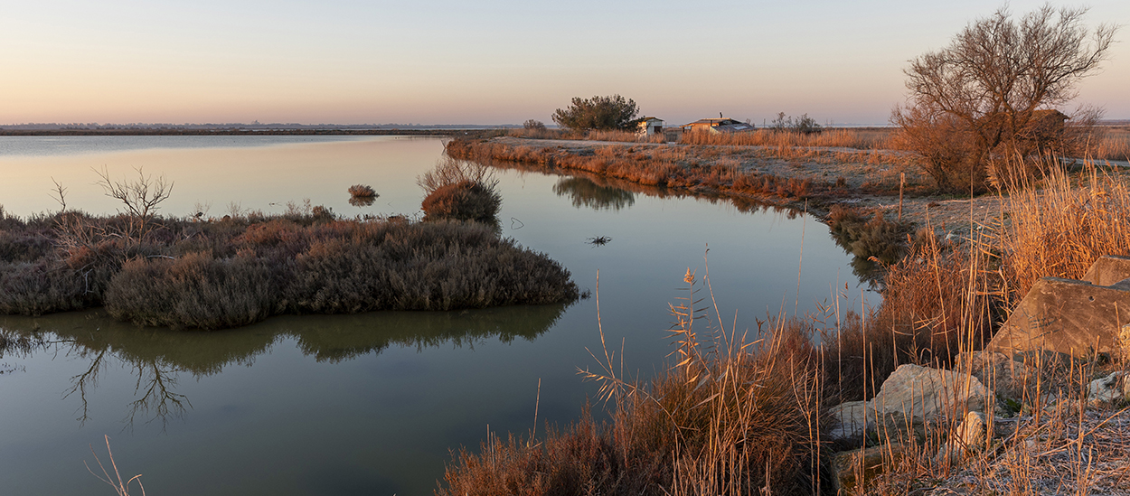 Photo lansargues etang.jpg